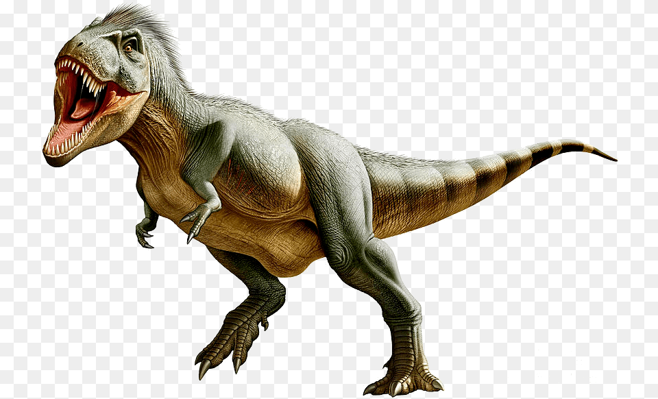 Thumb Image Trex, Animal, Dinosaur, Reptile, T-rex Free Png