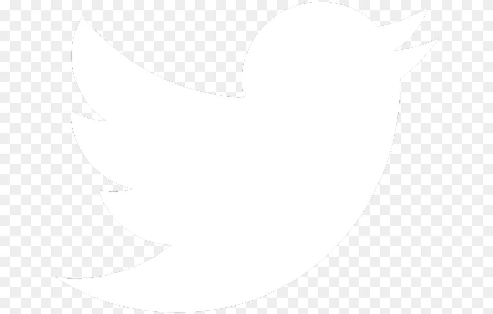 Thumb Image Twitter Bird White, Stencil, Logo, Astronomy, Moon Png