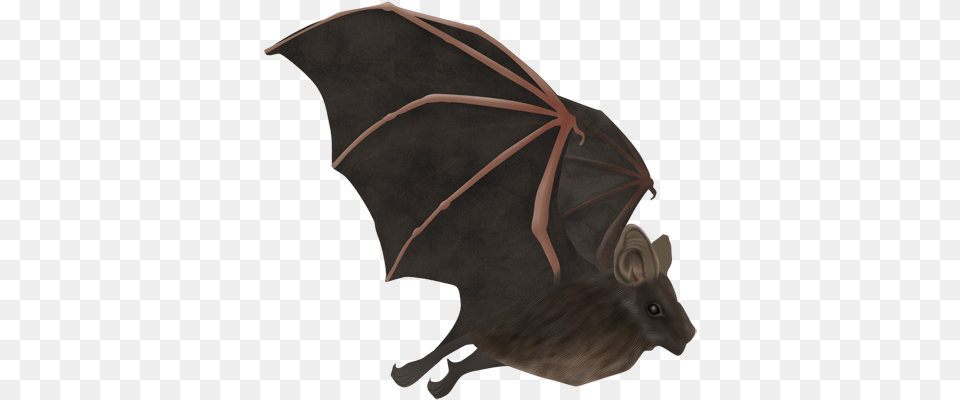 Thumb Image Umbrella, Animal, Mammal, Wildlife, Bat Free Transparent Png