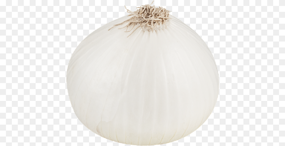 Thumb Image White Onion Background, Food, Produce, Plant, Vegetable Png