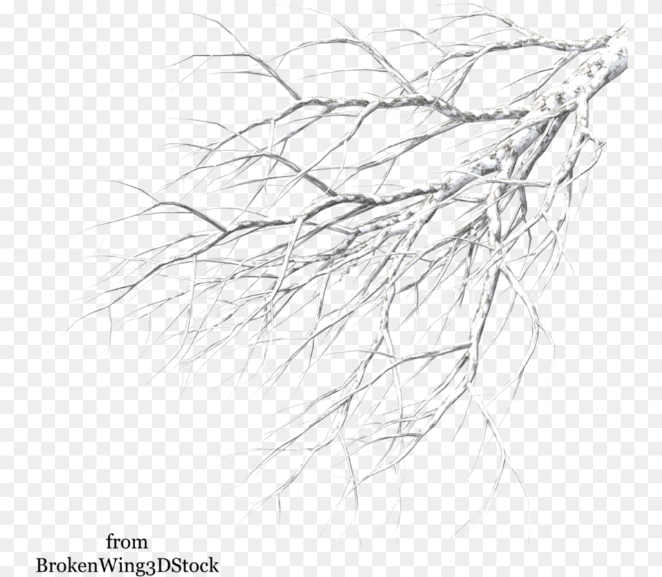 Thumb Image Winter Tree Branch, Ice, Plant, Nature, Outdoors Free Png