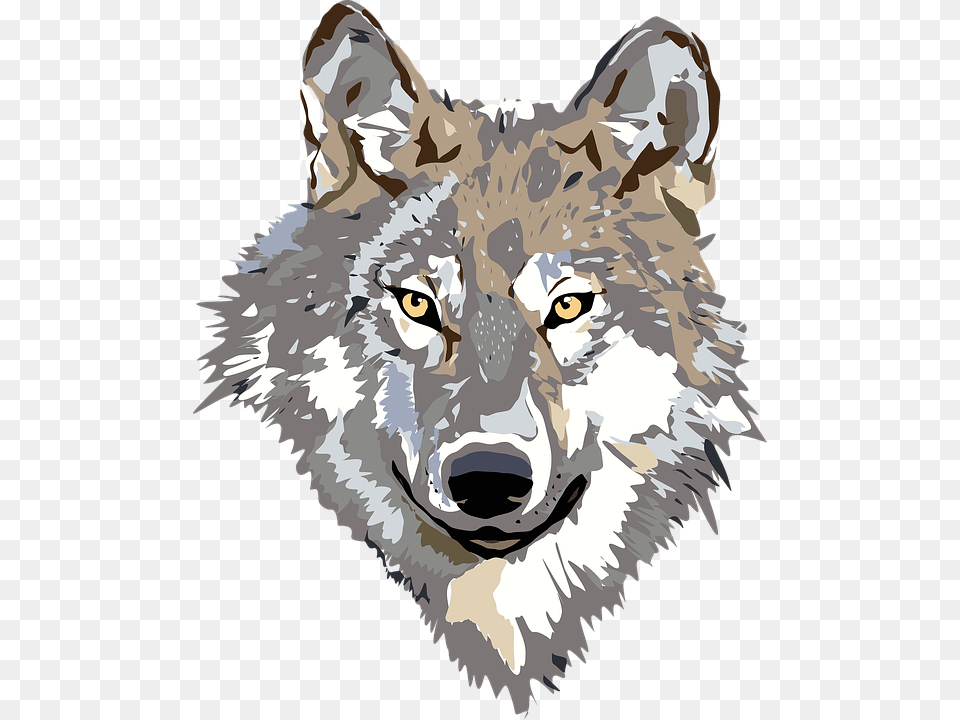Thumb Image Wolf Head, Animal, Mammal, Person, Coyote Free Png Download
