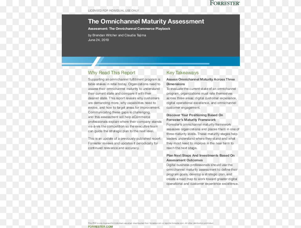 Thumb Original The Omnichannel Maturity Assessment, Advertisement, File, Page, Poster Free Transparent Png
