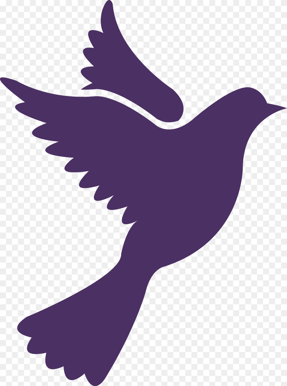 Thumb Pigeon Icon, Animal, Bird, Blackbird, Fish Free Png Download