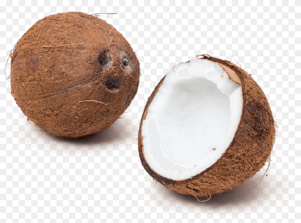 Thumb Raw Coconut Meat, Food, Fruit, Plant, Produce Free Png Download