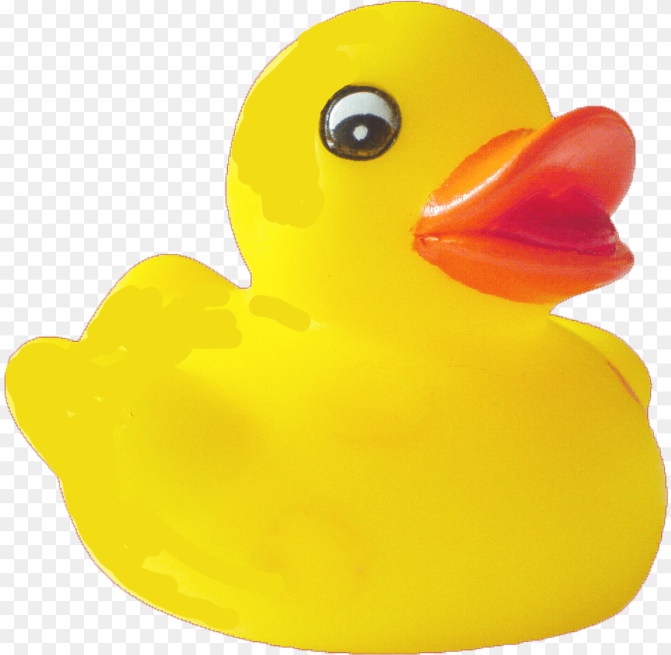 Thumb Transparent Background Duck, Animal, Beak, Bird Png Image