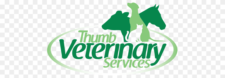 Thumb Veterinary Services, Animal, Zoo, Cat, Mammal Png