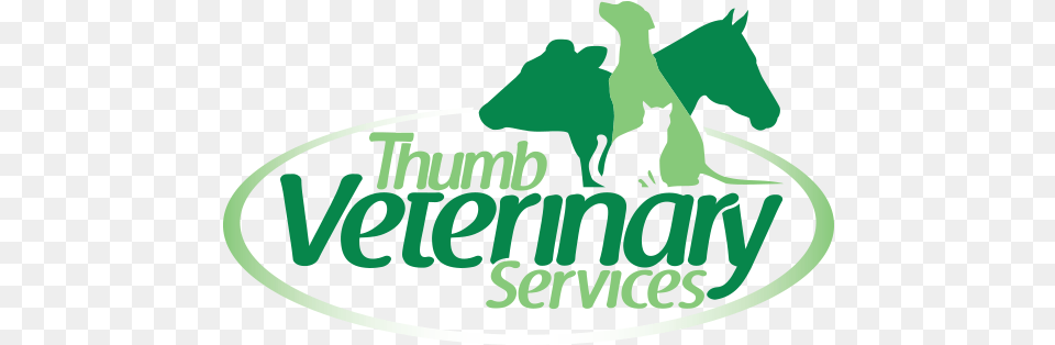 Thumb Veterinary Services Large Animal Veterinarian, Zoo, Cat, Mammal, Person Png Image