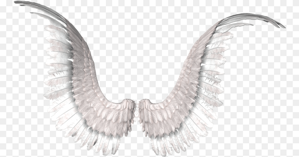 Thumb Victoria Secret Wings, Accessories, Animal, Bird, Jewelry Png Image