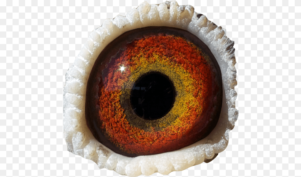 Thumbnail Eye Yeux De Monstres, Accessories, Gemstone, Jewelry, Ornament Free Png