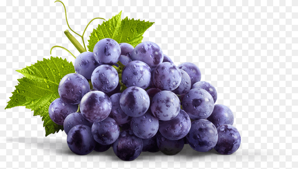 Thumbnail Concord Grape, Food, Fruit, Grapes, Plant Free Png
