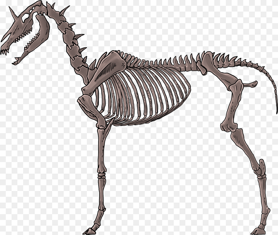 Thumbnail Unicorn Skeleton Transparent, Animal, Dinosaur, Reptile Png