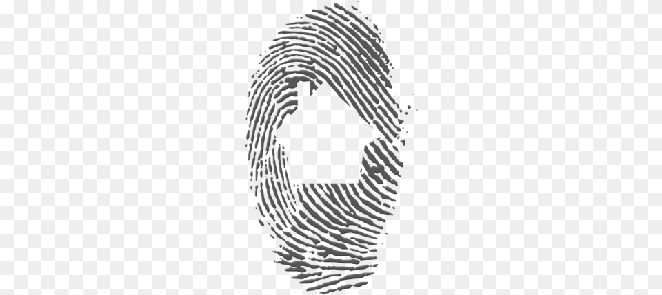 Thumbprint Identified Knowing Who You Are In Christ Ampamp, Animal, Mammal, Wildlife, Zebra Free Png Download