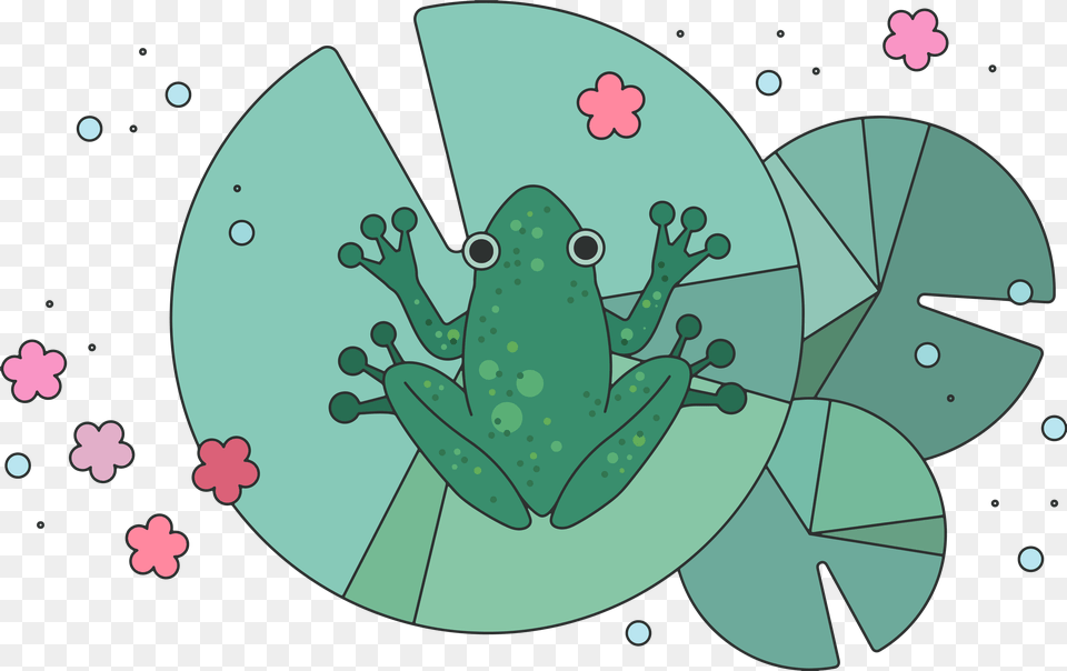 Thumper Clip Art True Frog, Amphibian, Animal, Wildlife Free Png Download