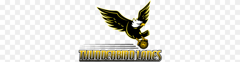 Thunderbird Lanes By Mstein19c Language, Animal, Beak, Bird, Eagle Free Transparent Png