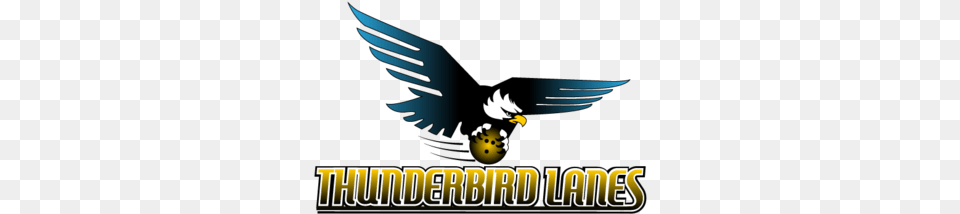 Thunderbird Lanes Language, Animal, Beak, Bird Free Png