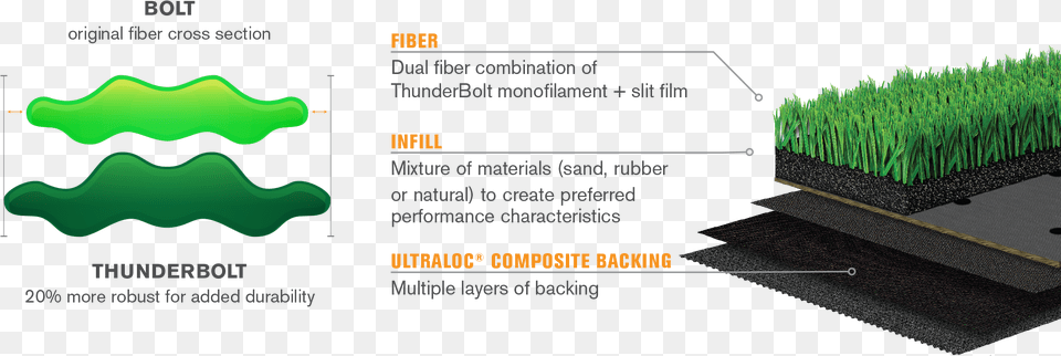 Thunderbolt Fiber Comparison Tree, Grass, Plant, Vegetation, Nature Png