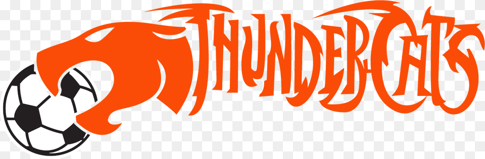 Thundercats Sc, Ball, Football, Soccer, Soccer Ball Png Image