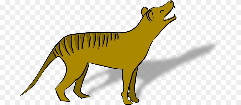 Thylacine, Animal, Fish, Sea Life, Shark Free Transparent Png