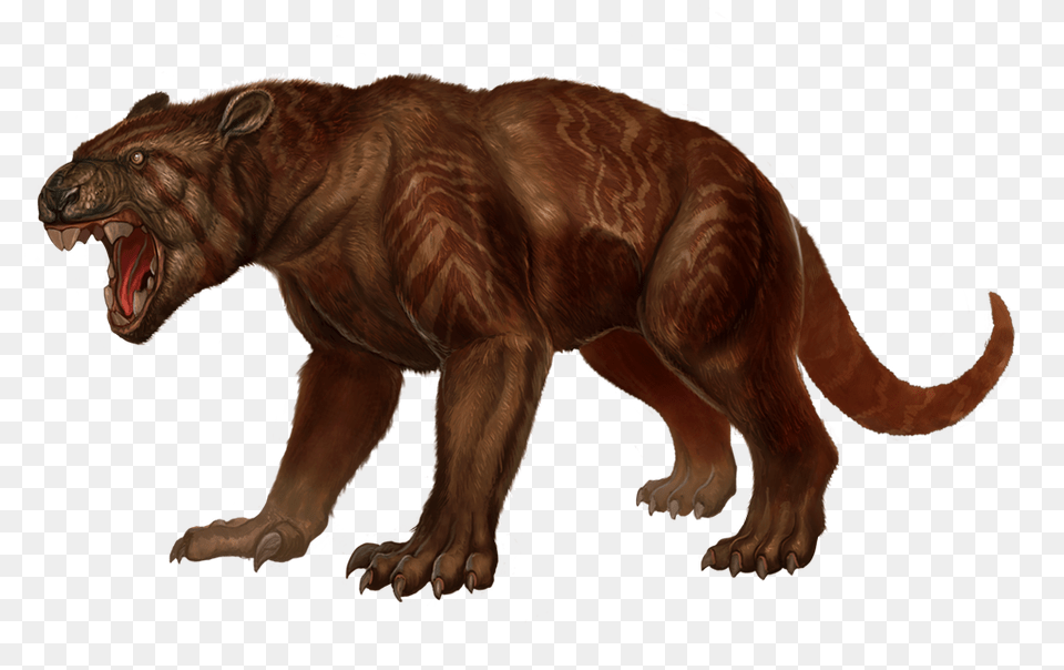 Thylacoleo, Animal, Dinosaur, Reptile, T-rex Free Png Download