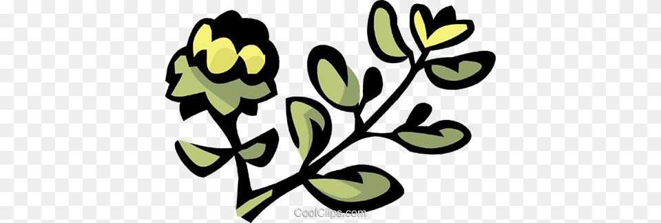 Thyme Royalty Free Vector Clip Art Illustration, Graphics, Plant, Leaf, Flower Png Image