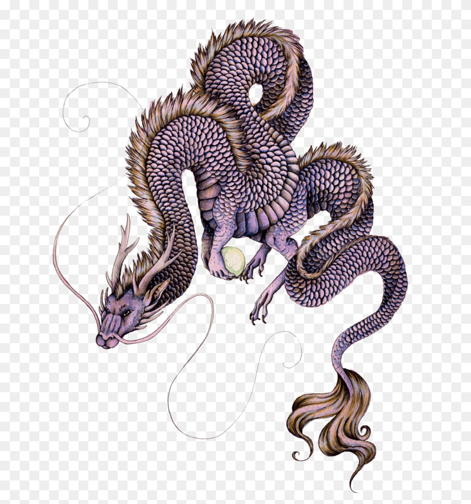 Tianlong Dragon Png Image