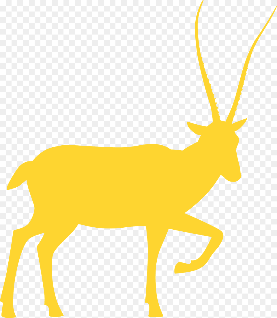Tibetan Antelope Silhouette, Animal, Mammal, Wildlife, Impala Free Png Download