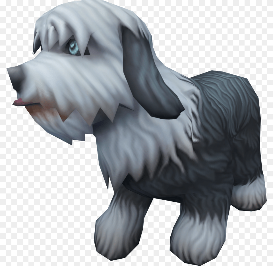 Tibetan Terrier, Animal, Pet, Mammal, Puppy Png