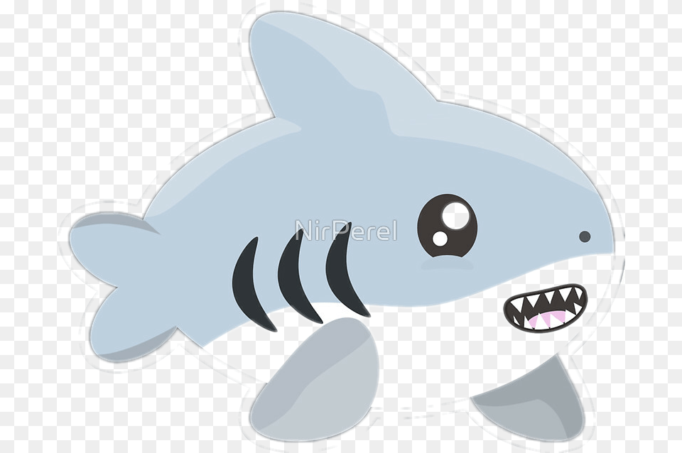 Tiburon Kawaii Kawaii Sharks, Animal, Sea Life, Fish Png Image