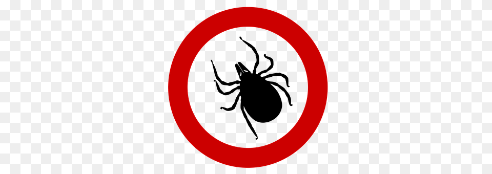 Tick Symbol, Sign, Disk Free Png Download