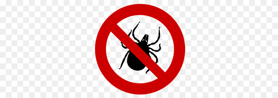 Tick Sign, Symbol, Road Sign, Disk Png