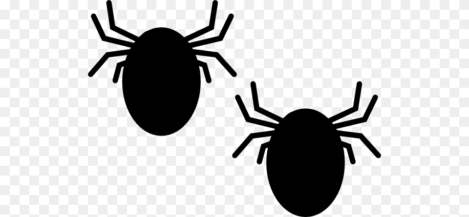 Tick, Stencil, Animal, Insect, Invertebrate Free Transparent Png