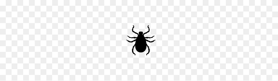 Tick, Gray Png Image