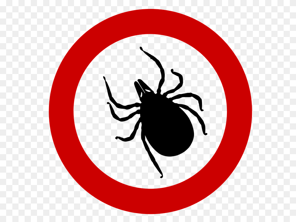 Tick, Sign, Symbol, Disk, Road Sign Free Png