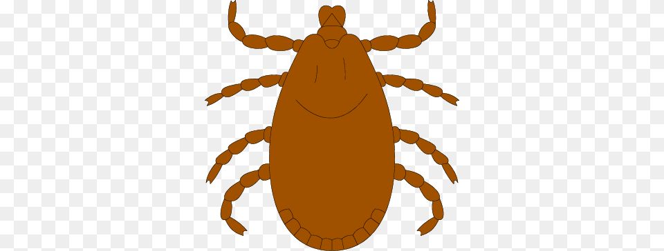 Tick Bug Clipart Clip Art Images, Person Free Transparent Png