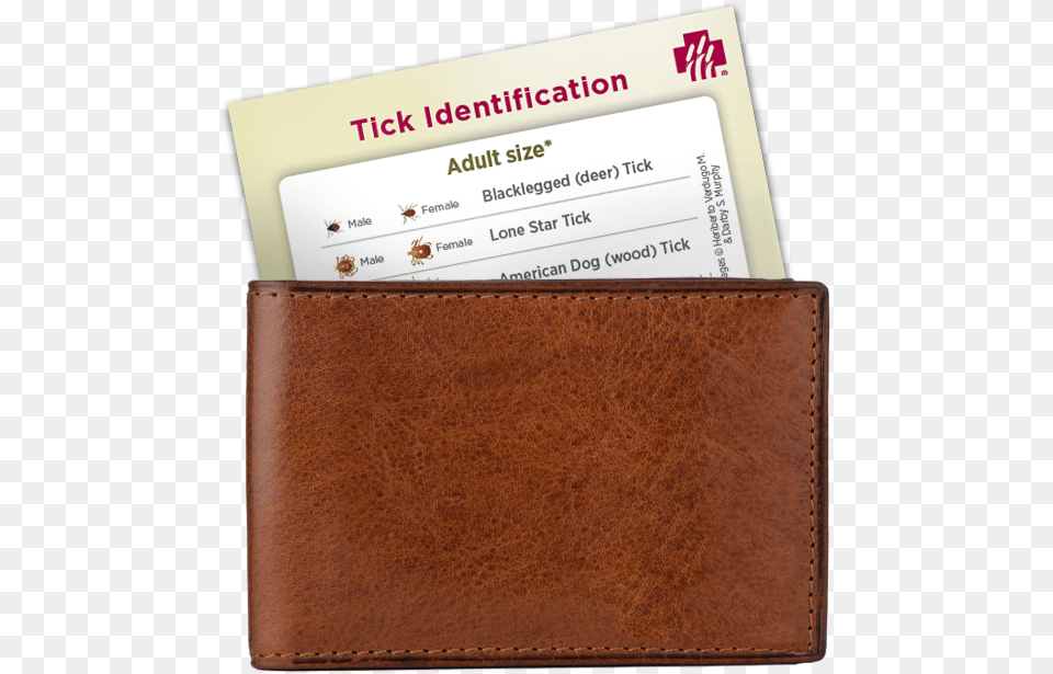 Tick Card In Wallet, Accessories, Business Card, Paper, Text Free Png Download