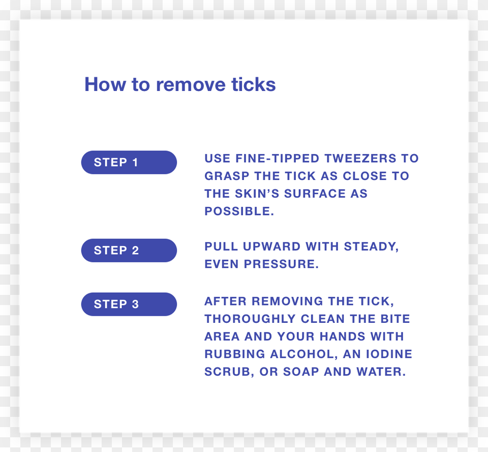 Tick Test How To Remove Tick 1 Tick, Text, Page Png