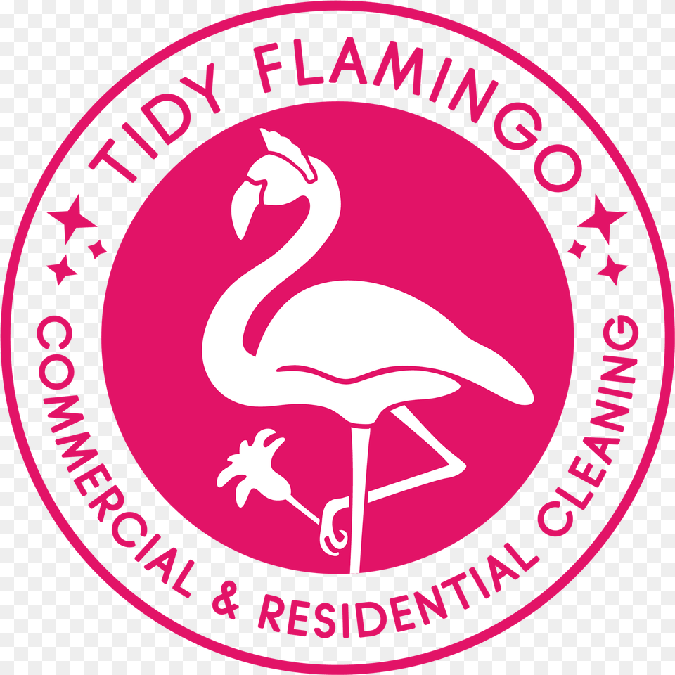 Tidy Flamingo Ducks, Animal, Bird, Baby, Person Free Transparent Png