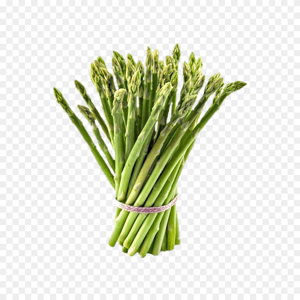 Tied Bundle Of Asparagus, Food, Plant, Produce, Vegetable Png Image