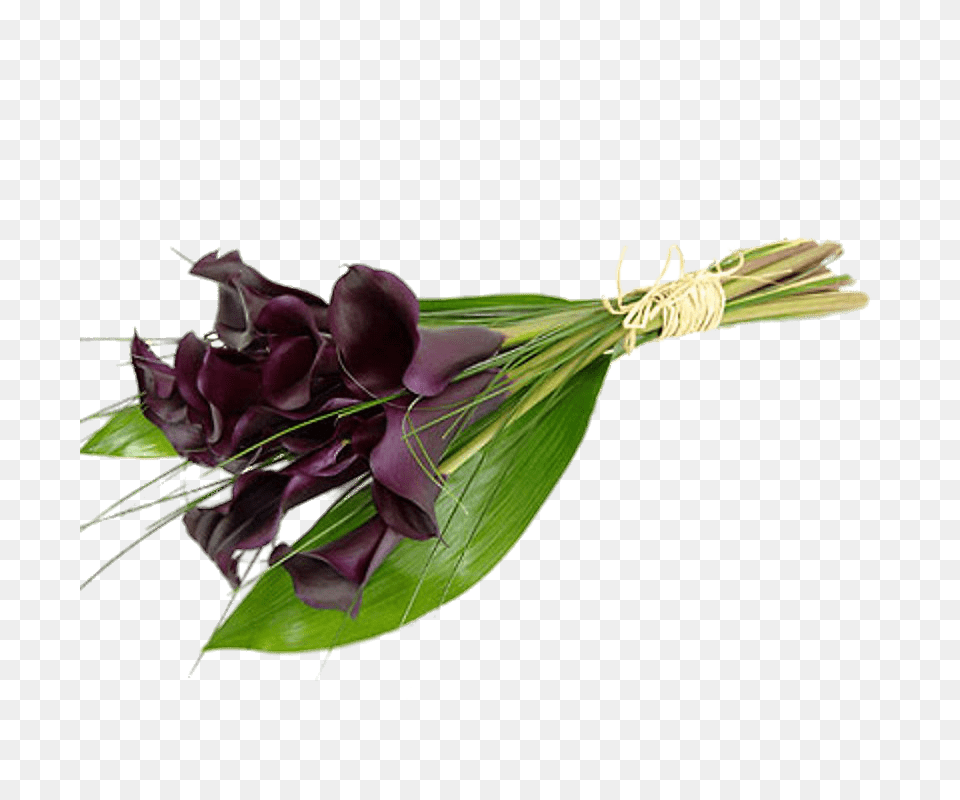 Tied Purple Calla Lilies, Flower, Flower Arrangement, Flower Bouquet, Plant Free Png Download