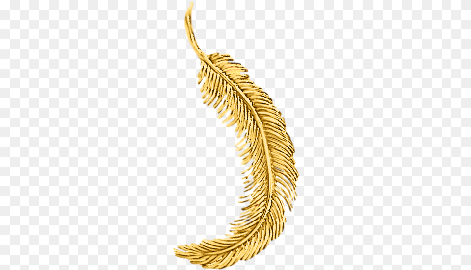Tiffany S 18k Yellow Gold Feather Pin Gold Feather, Accessories, Jewelry, Necklace, Animal Free Transparent Png