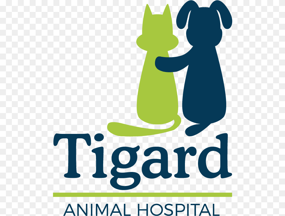 Tigard Animal Hospital Cartoon, Advertisement, Poster, Person, Kangaroo Free Png