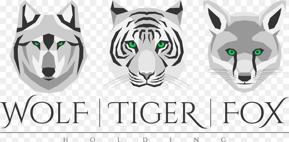 Tiger, Animal, Mammal Free Png Download