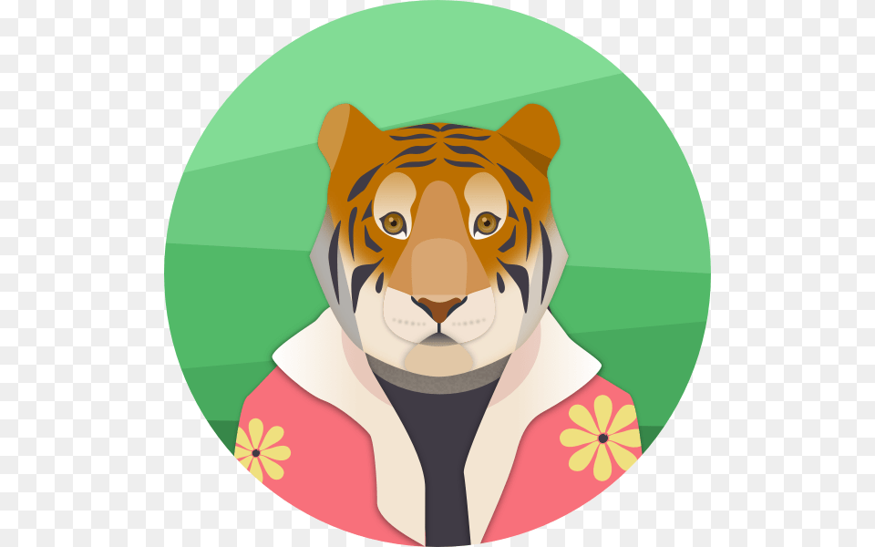 Tiger, Photography, Animal, Cat, Mammal Free Png