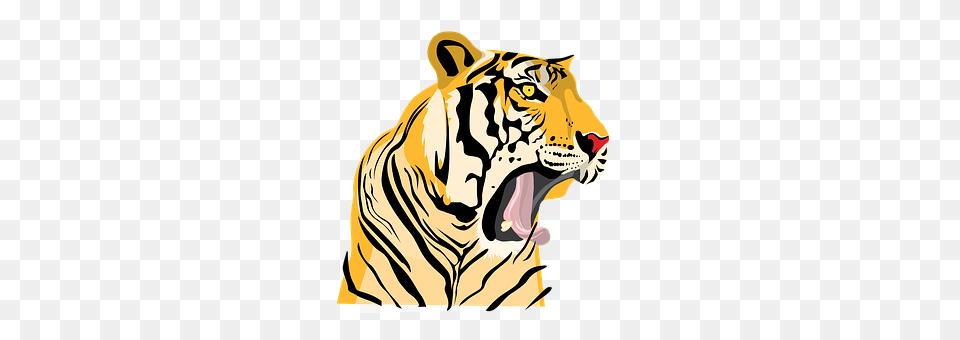 Tiger Animal, Lion, Mammal, Wildlife Png Image