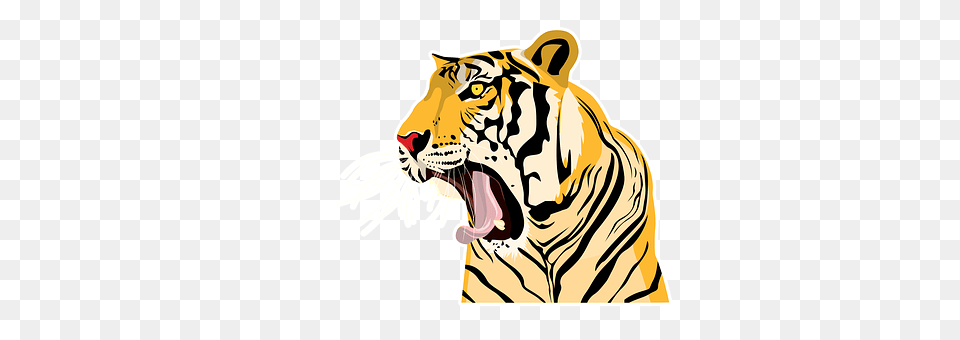 Tiger Animal, Mammal, Wildlife Png