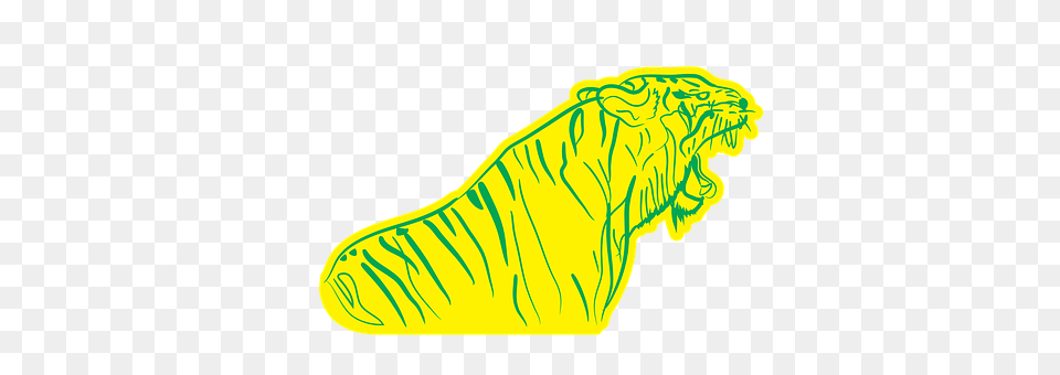 Tiger Animal Png