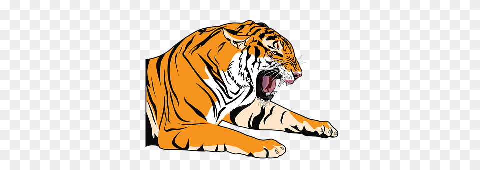 Tiger Animal, Mammal, Wildlife Free Png Download