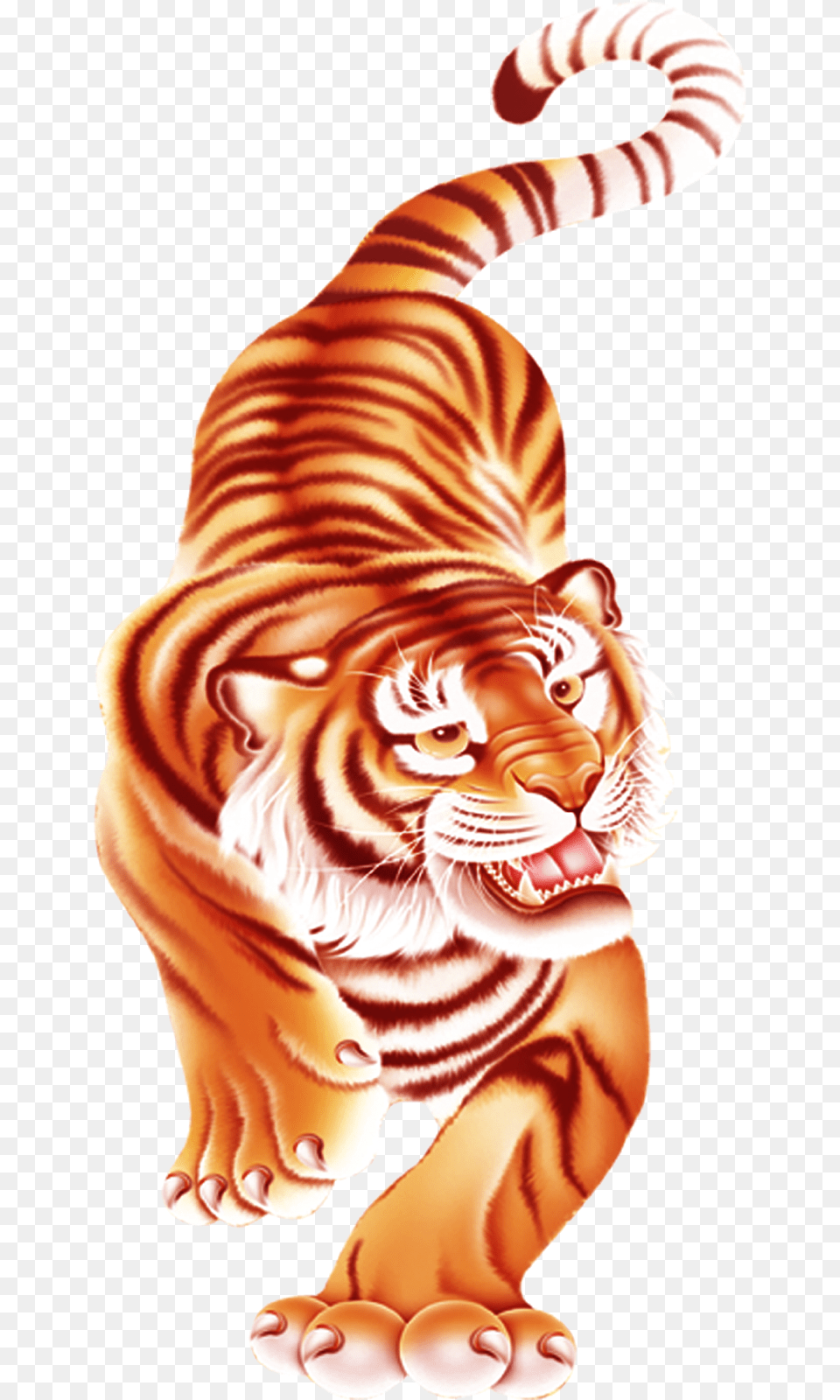 Tiger, Animal, Mammal, Wildlife Free Png