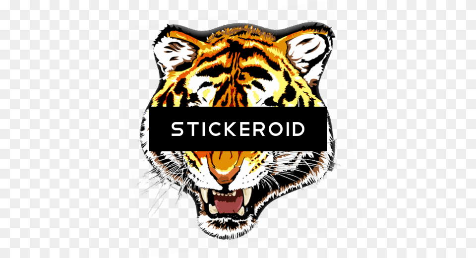 Tiger, Animal, Mammal, Wildlife, Face Png